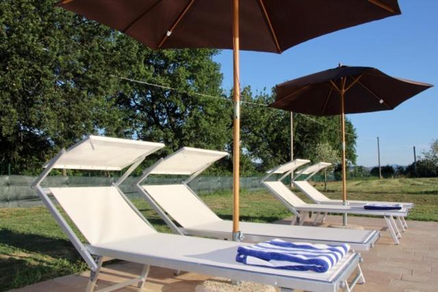 Relais Villa Sofia Calcinelli Bagian luar foto