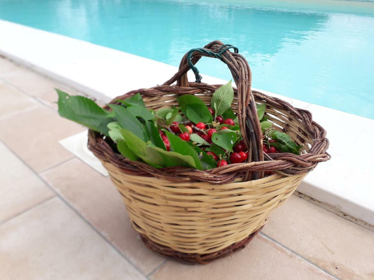 Relais Villa Sofia Calcinelli Bagian luar foto